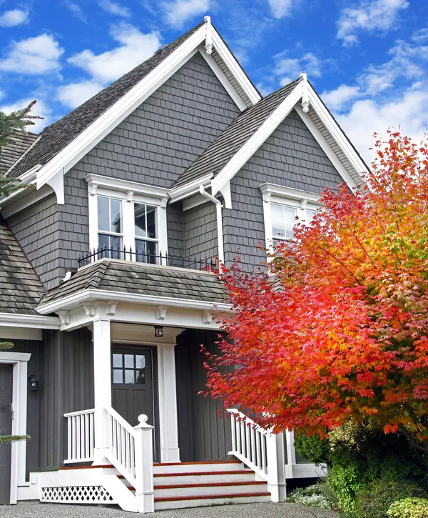 A gray modern craftsman-style house featuring white trim and a vibrant red maple tree in Oswego, IL.