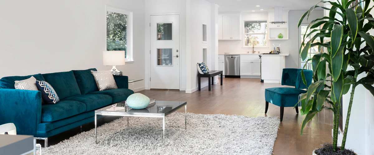 Spacious open-concept living room with a teal velvet sofa, white walls, and a large indoor plant.